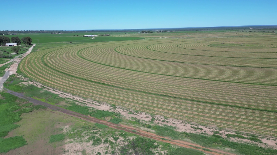 0 Bedroom Property for Sale in Douglas Rural Northern Cape